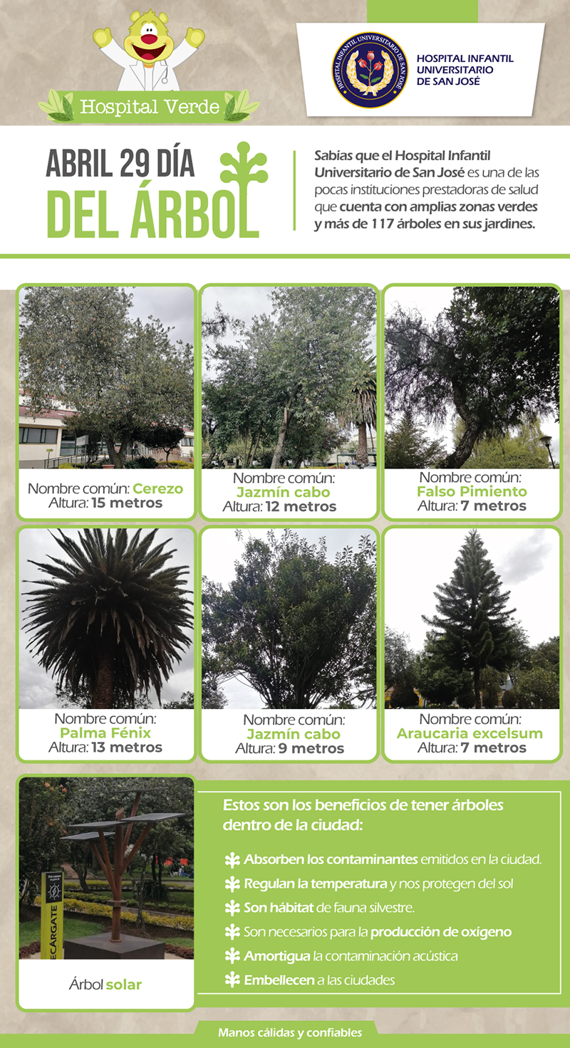 dia-arbol ¡FELIZ DÍA DEL ÁRBOL! >> ABRIL 29-Noticias