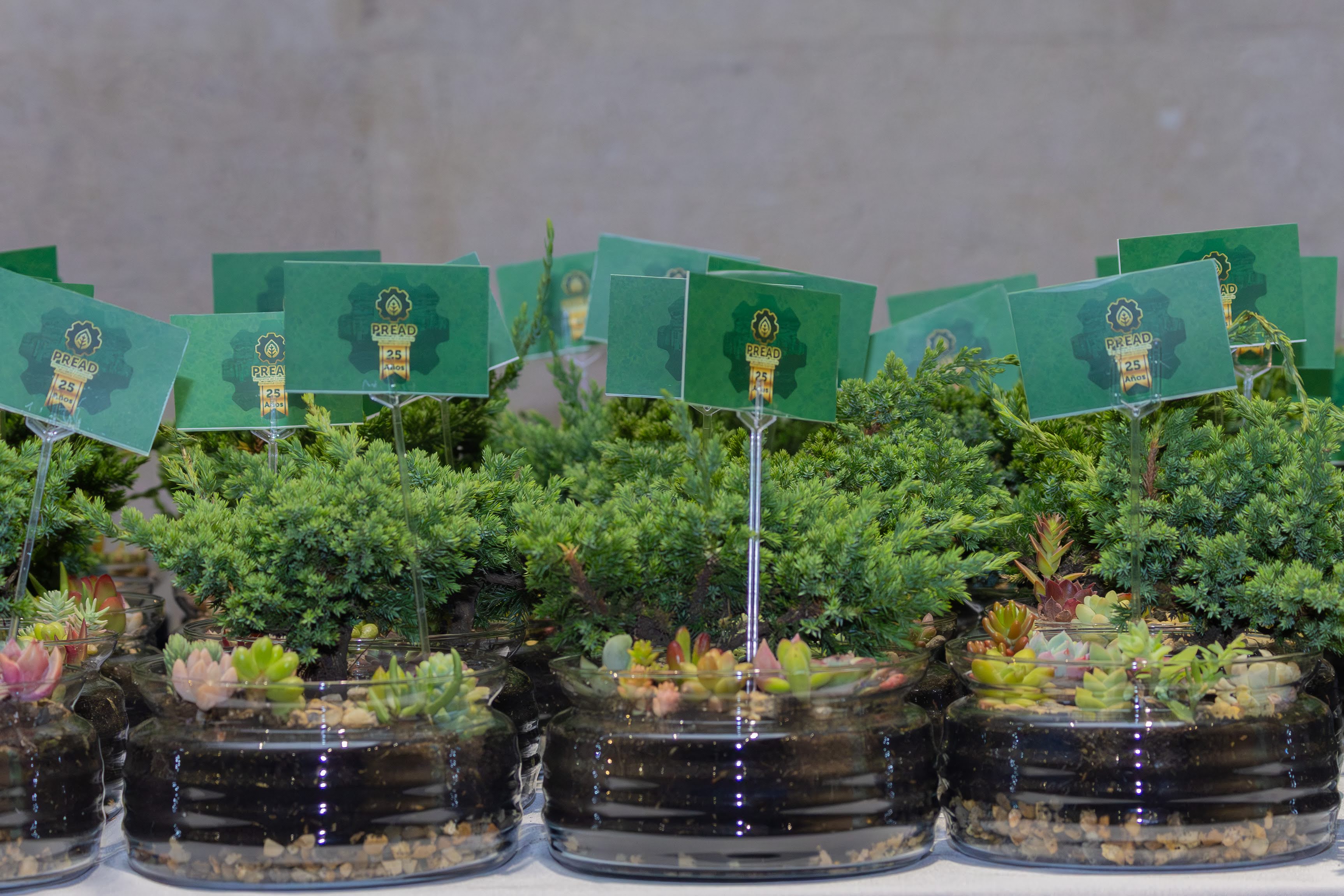 RECONOCIMIENTO-AMBIENTAL3 &iexcl;Iniciamos el a&ntilde;o con un gran reconocimiento ambiental por parte del PREAD!-Noticias