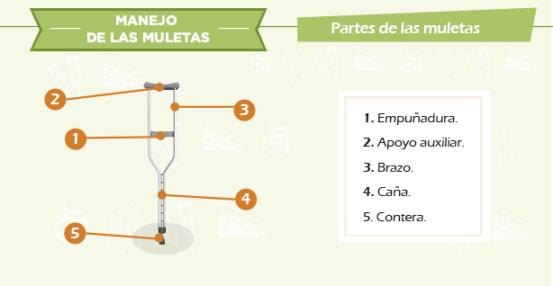 partes-muketas Elementos de rehabilitación